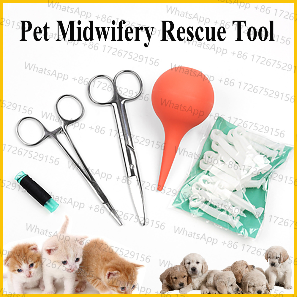 Pet Supplies Application - 1세트 애완견/고양이 태액 흡입기와 비강 임신