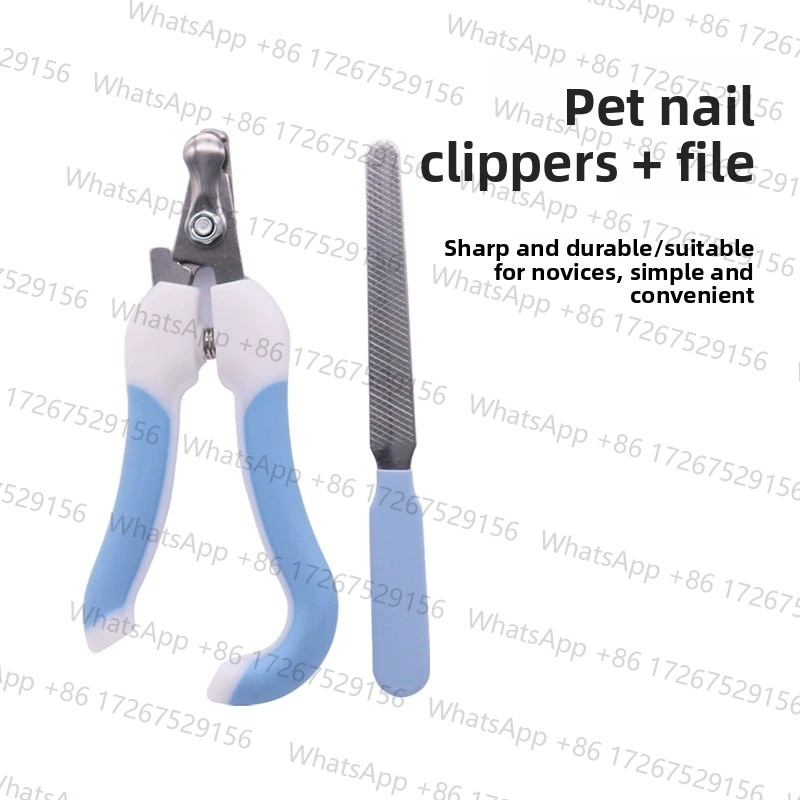 6 in 1 강아지 미용 키트 털갈이 방지 브러쉬 애완 - Pet Supplies Application 리뷰 및 가격